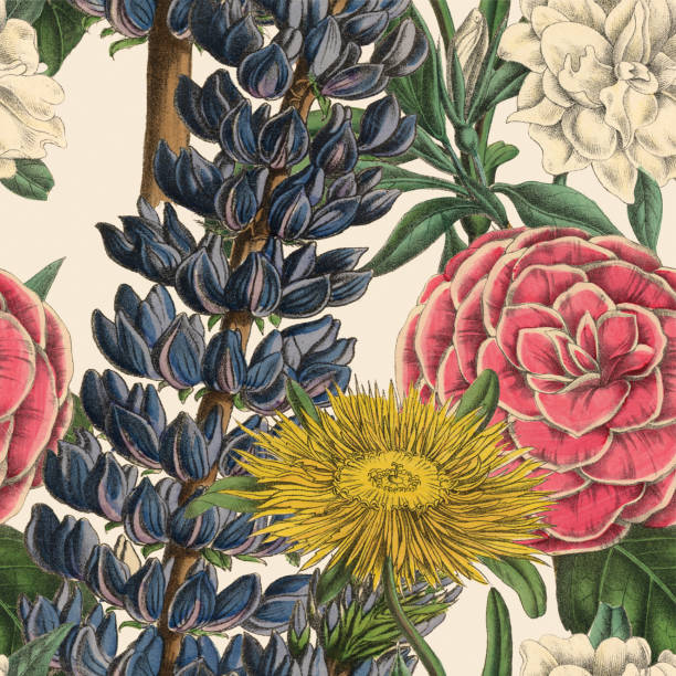 Victorian Botanical, Hand-Colored, Seamless pattern. Realistic blooming isolated flowers Vintage fabric background. Beautiful Cottage Garden and wildflowers. Wallpaper baroque. Drawing engraving. Victorian Illustration. Very Rare, Beautifully Illustrated Antique Engraved and Hand Colored Victorian Botanical Illustration of Plants. Published in 1863. Source: Original edition from my own archives. Copyright has expired on this artwork. Digitally restored.