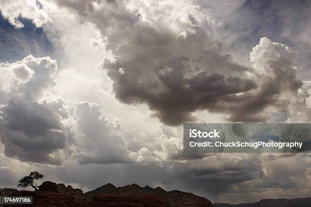 Storm Cloud Sky Tree Silhouette Desierto Foto de stock y más banco de imágenes de Every Cloud Has A Silver Lining - Refrán en inglés - Every Cloud Has A Silver Lining - Refrán en inglés, Zen, Aislado