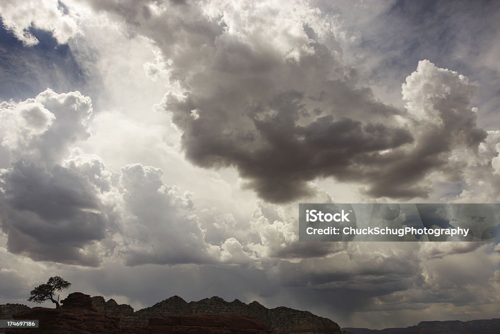 Грозовая туча небо пустыни дерево силуэт - Стоковые фото Every cloud has a silver lining - английское выражение роялти-фри