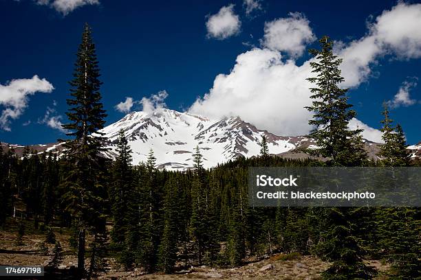 雪を頂く実装シャスタで初夏北部カリフォルニアの - アメリカ合衆国のストックフォトや画像を多数ご用意 - アメリカ合衆国, エコツーリズム, カスケード山脈