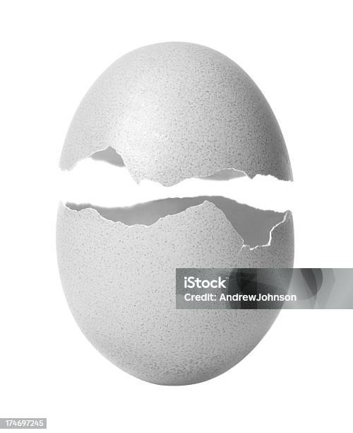 Egg Stock Photo - Download Image Now - Animal Egg, Egg - Food, Cracked