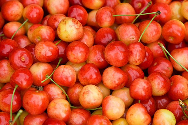 istock Delicious Organic Rainier Cherries 174697445