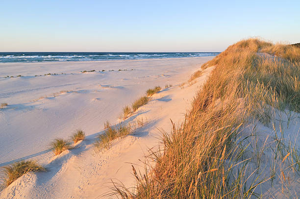 Sand dunes at sunset stock photo