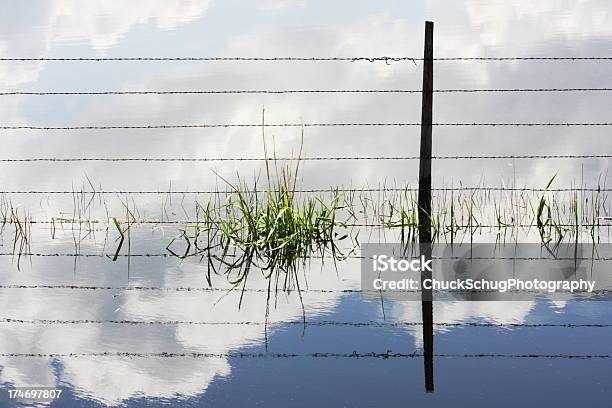 Photo libre de droit de Fil Barbelé Voisin Post Abstrait banque d'images et plus d'images libres de droit de Abstrait - Abstrait, Agriculture, Angle inhabituel