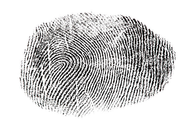 istock XXXL fingerprint isolated on white background. 174698336