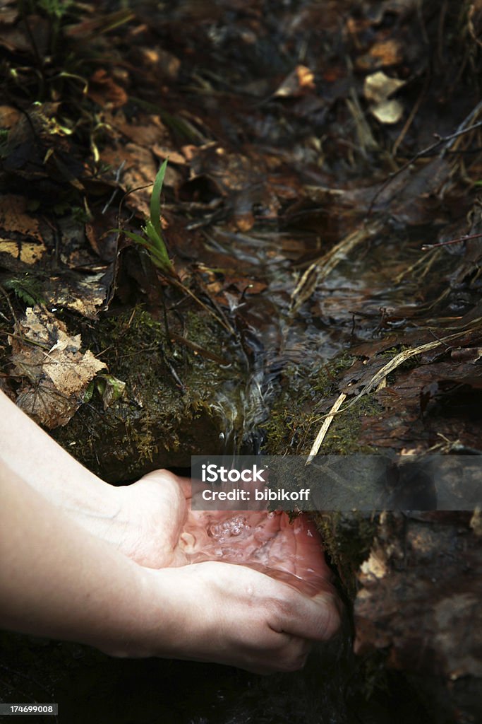 thirsty pure stream water in hands Hand Stock Photo