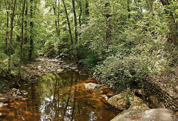 istock Summer Woodland Creek 174699590