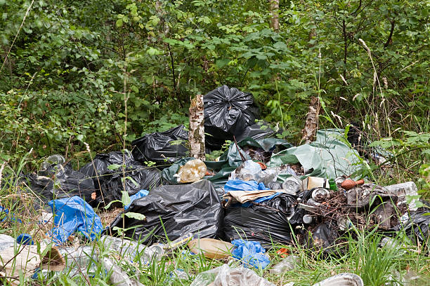 Rubbish dumped in the environment stock photo