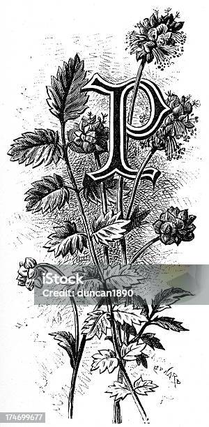 Ilustración de Letra Pflower Fuente y más Vectores Libres de Derechos de Diseño - Temas - Diseño - Temas, Diseño floral, Elegancia