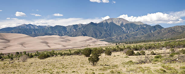 Edge of the Great Sand Dunes - Panoramic