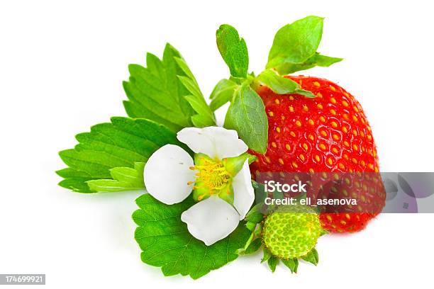 Frutas De Rojo Aislado De Fresa Foto de stock y más banco de imágenes de Flor - Flor, Fresa, Alimento