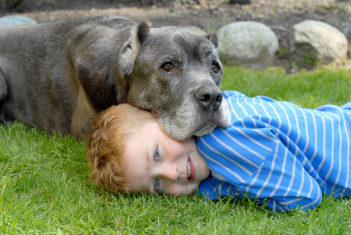 Young boy resting on the grass with his old dog.