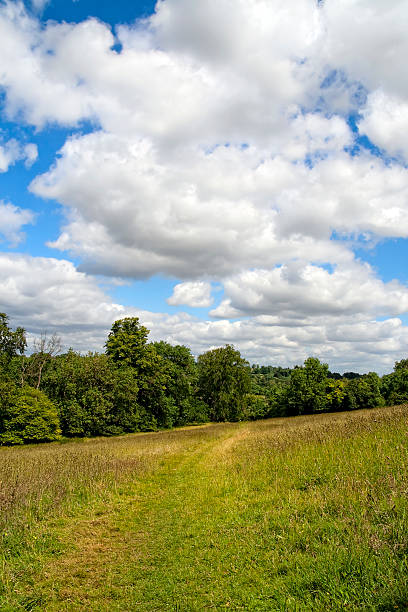 istock Footpath in the Kent countryside 174700226