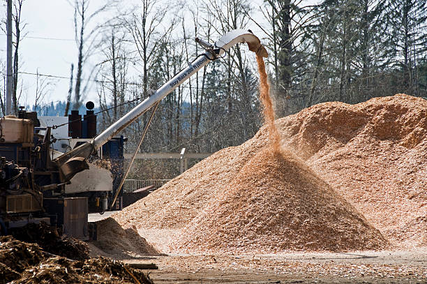 Wood chips spewing from spout at sawmill