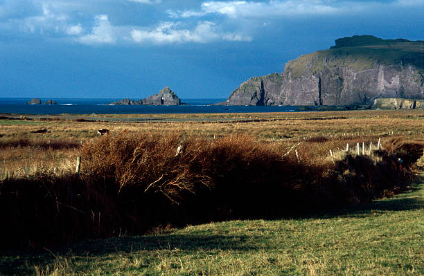 istock panoramic shot of a remote steep coast at Dingle 174700646