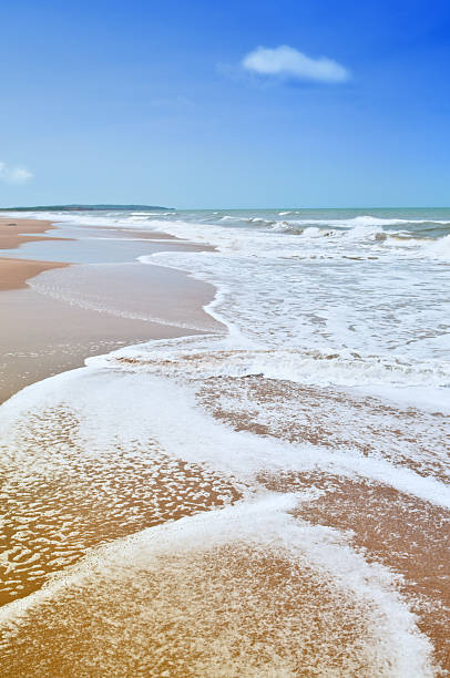 istock Tropical golden sand beach 174700866