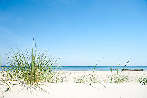 dunas de areia - horizon over water white green blue imagens e fotografias de stock