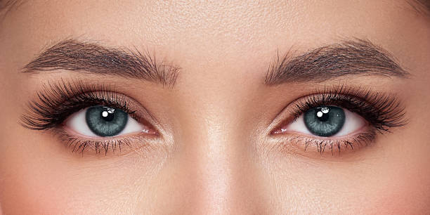 istock Beautiful female eyes with long eyelashes 1747013477
