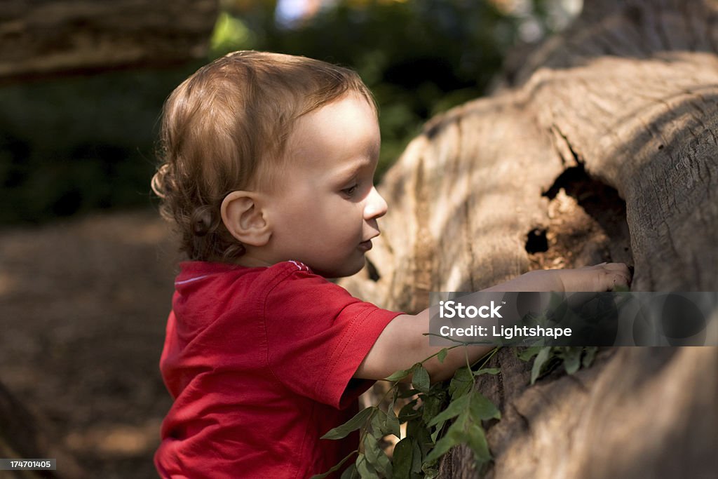 Curiosity wins ! "Curious child exploring the hole of a fallen tree on a playground.Give your children time to play and explore, that's the only way how they can understand our world." 12-17 Months Stock Photo