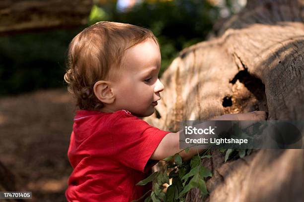 Curiosity Wins Stock Photo - Download Image Now - 12-17 Months, Activity, Boys