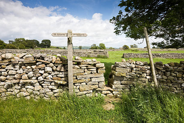 ヨークシャーデイル小道 - wensleydale ストックフォトと画像