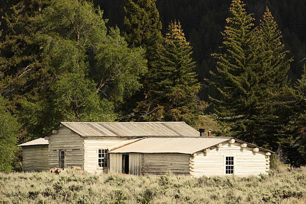 istock Log Cabin Ranch Home Homestead 174702441