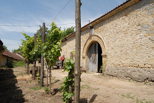 cave à vin traditionnel - wine cellar door house photos et images de collection