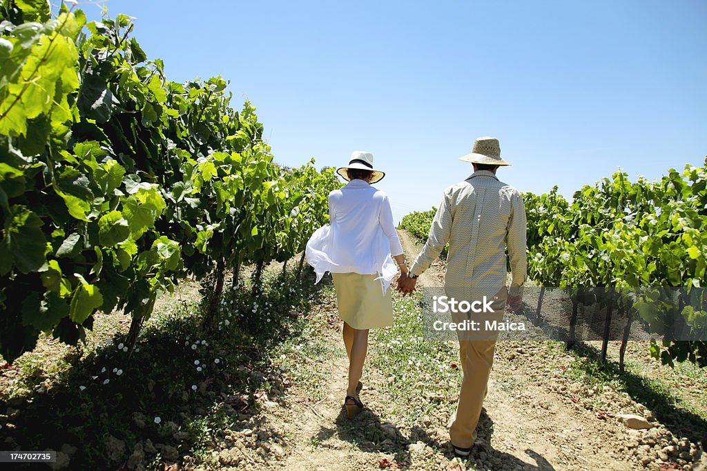 Couple dans un vignoble - Photo de Vignoble libre de droits