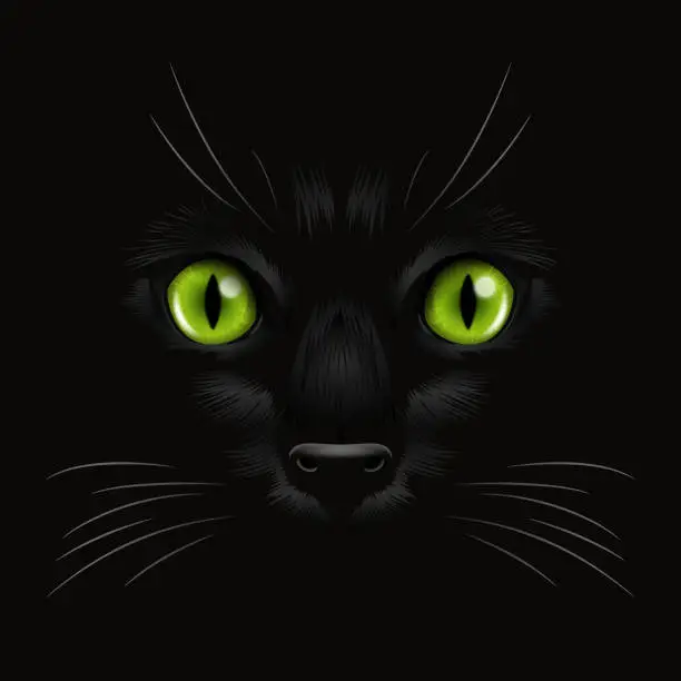 Vector illustration of Vector 3d Realistic Green Cats Eye of a Black Cat in the Dark, at Night. Cat Face with Yes, Nose, Whiskers on Black. Cat Closeup Look in the Darkness. Front View