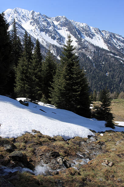 primavera aqueça, no tirol do sul - melting spring snow trentino alto adige - fotografias e filmes do acervo