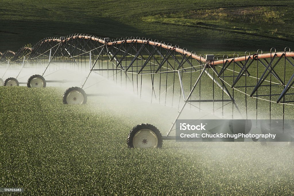 Arroseur automatique-Agriculture Irrigation Culture Spray - Photo de Activité libre de droits