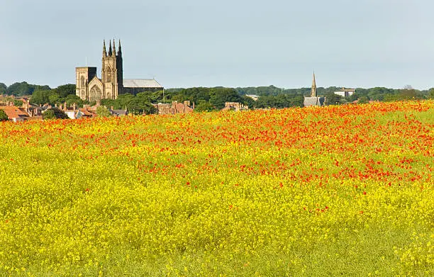 A view of Bridlington Priory and Old Town across a field of rape seed and poppies.Visit my Yorkshire Lightbox for more images from around the county of Yorkshire.