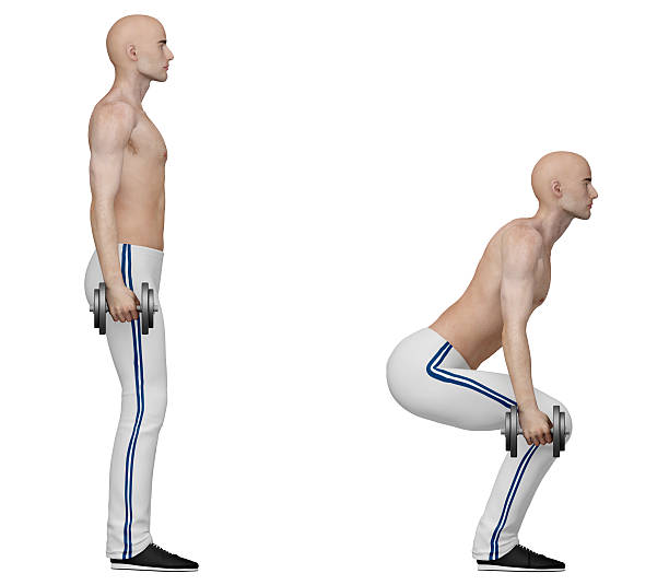 серия упражнений: приседания с гантелями - crouching exercising anatomy human muscle стоковые фото и изображения