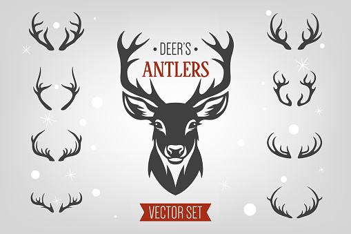 Vector Christmas Reindeer Horns, Antlers. Deer Horn Silhouettes. Hand Drawn Deer Horn, Antler Set. Animal Antler Collection. Design Elements of Deer. Wildlife Hunters, Hipster, Christmas Concept.