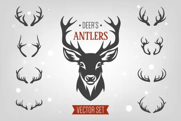 Vector illustration of Vector Christmas Reindeer Horns, Antlers. Deer Horn Silhouettes. Hand Drawn Deer Horn, Antler Set. Animal Antler Collection. Design Elements of Deer. Wildlife Hunters, Hipster, Christmas Concept