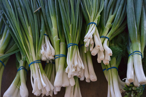 Vegetables: Green Onions at the farmers market