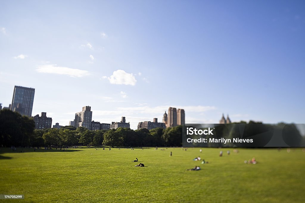 Central Park People enjoying the sun at Central Park in New York. Tilt shift lens used. Agricultural Field Stock Photo