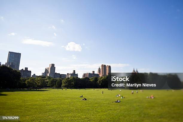 Central Park Stock Photo - Download Image Now - Agricultural Field, Blue, Building Exterior