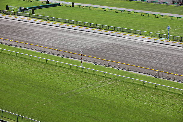 Horse Racing Track