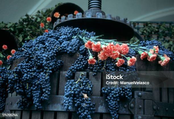 Виноград И Carnations В Лариоха — стоковые фотографии и другие картинки Испания - Испания, Вино, Логроньо