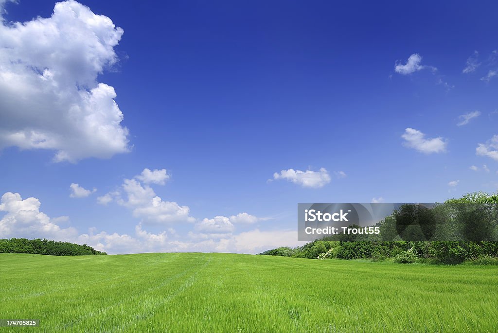 Felder, die blauen Himmel und weiße Wolken - Lizenzfrei Blau Stock-Foto
