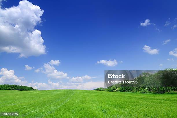 Felder Die Blauen Himmel Und Weiße Wolken Stockfoto und mehr Bilder von Blau - Blau, Bunt - Farbton, Ebene