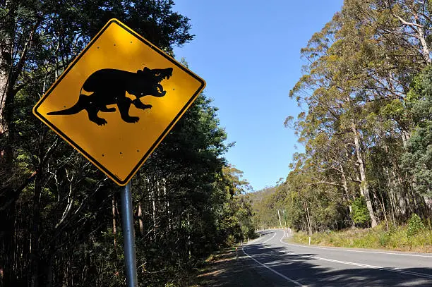 "Tasmanian devil road sign, Tasmania, AustraliaRelated images:"