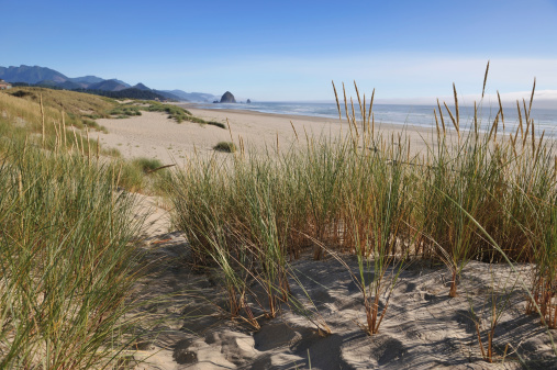 Haystack Rock, Cannon Beach