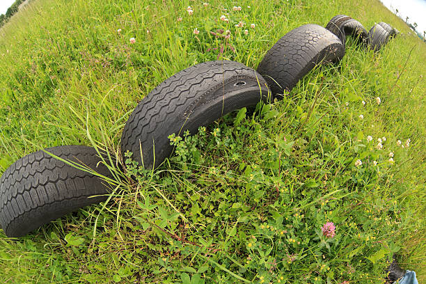 old tyres on the flowery meadows.