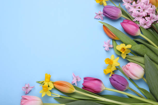 istock Beautiful flowers on light blue background, flat lay. Space for text 1747065672