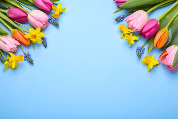 istock Beautiful flowers on light blue background, flat lay. Space for text 1747066246