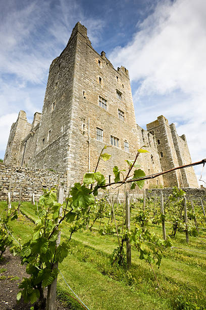 포도원입니다 및 성 (람풍 - castle famous place low angle view england 뉴스 사진 이미지