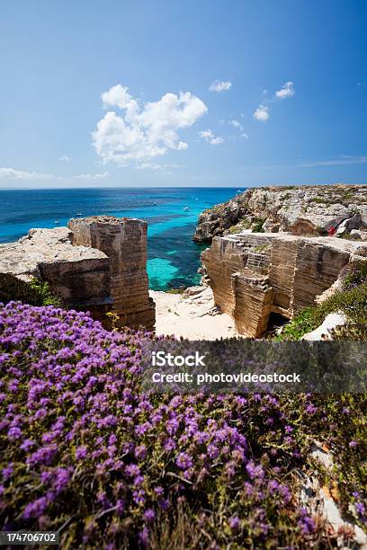 Photo libre de droit de Fleurs Et Paradise Beach banque d'images et plus d'images libres de droit de Favignana - Favignana, Plage, Sicile