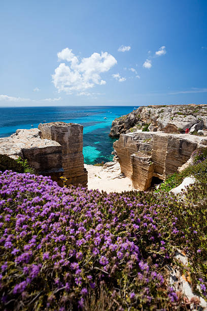 Flowers and paradise beach A mgnificent view in the mediterranean sea. favignana photos stock pictures, royalty-free photos & images